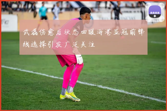 武磊伤愈后状态回暖海港亚冠前锋线选择引发广泛关注