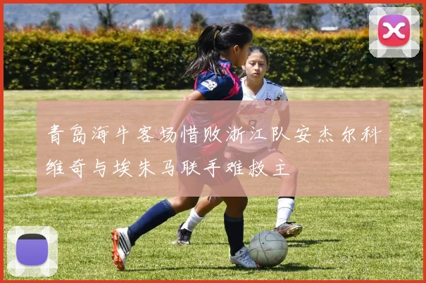 青岛海牛客场惜败浙江队安杰尔科维奇与埃朱马联手难救主