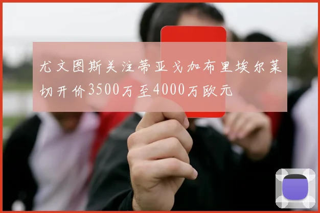 尤文图斯关注蒂亚戈加布里埃尔莱切开价3500万至4000万欧元