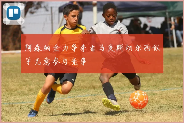 阿森纳全力争夺吉马良斯切尔西似乎无意参与竞争