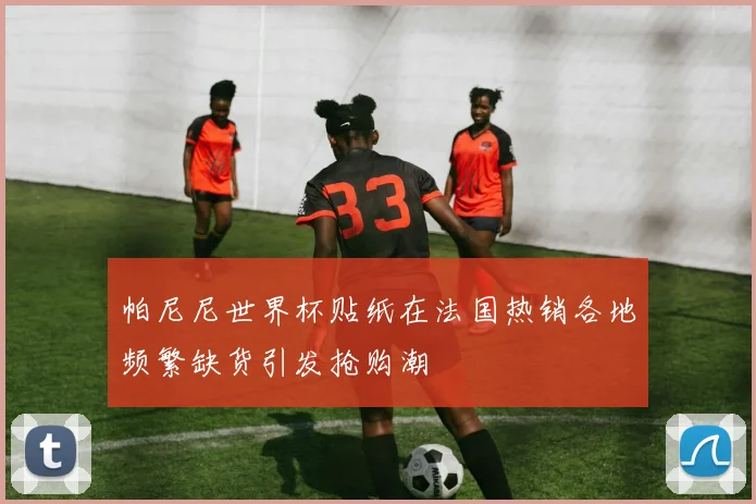 帕尼尼世界杯贴纸在法国热销各地频繁缺货引发抢购潮
